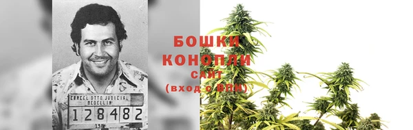 дмт Аркадак