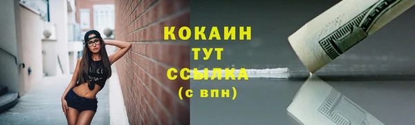 твердый Арсеньев