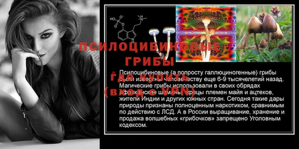 твердый Арсеньев
