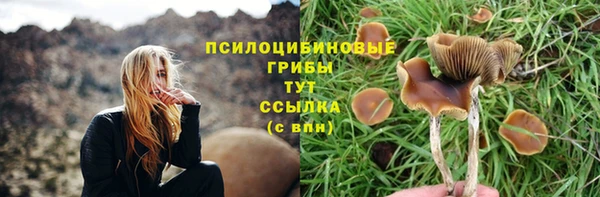 дмт Аркадак